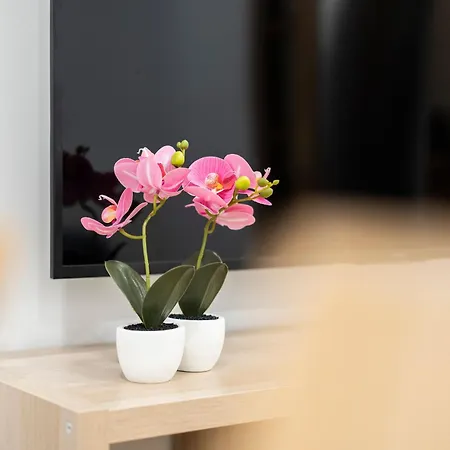 Espacioso Y Bien Equipado Cerca De La Playa San Sebastián