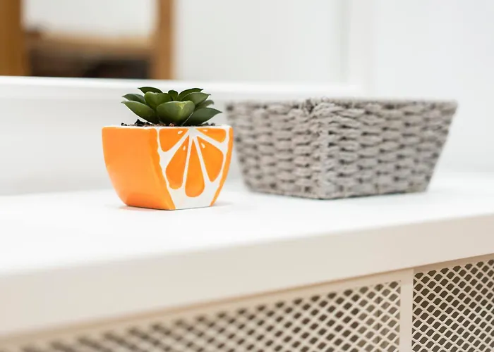 Apartmán Espacioso Y Bien Equipado Cerca De La Playa San Sebastián