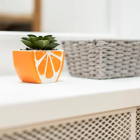 Apartman Espacioso Y Bien Equipado Cerca De La Playa San Sebastián