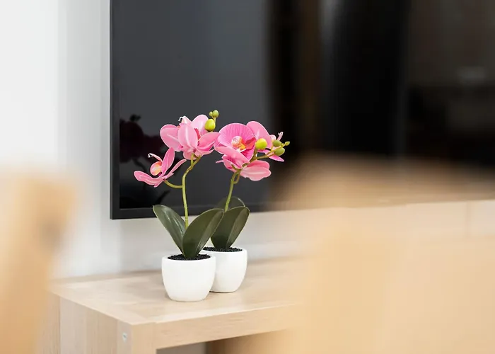 Espacioso Y Bien Equipado Cerca De La Playa Σαν Σεμπαστιάν